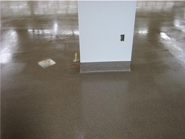 Pet store w/ quartz epoxy floor